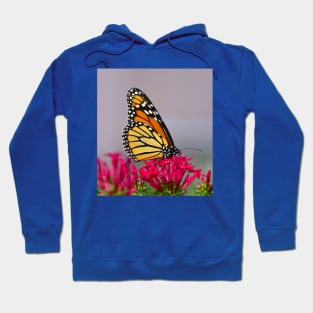 Beautiful Butterfly Hoodie